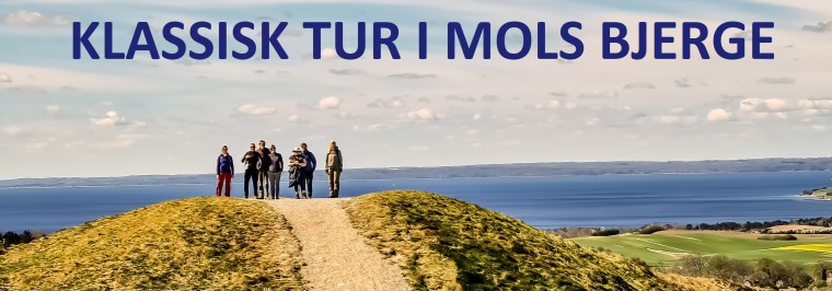 rent faktisk margen Forkludret Vandretur i Mols Bjerge med historie- og naturoplevelse | Nationalpark Mols  Bjerge